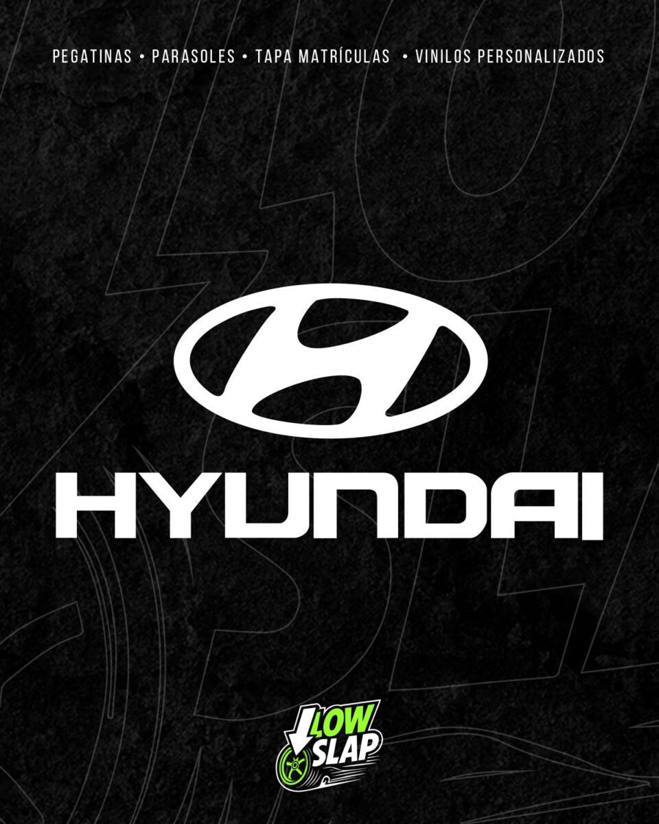 LS0018 HYUNDAI PRODUCTO
